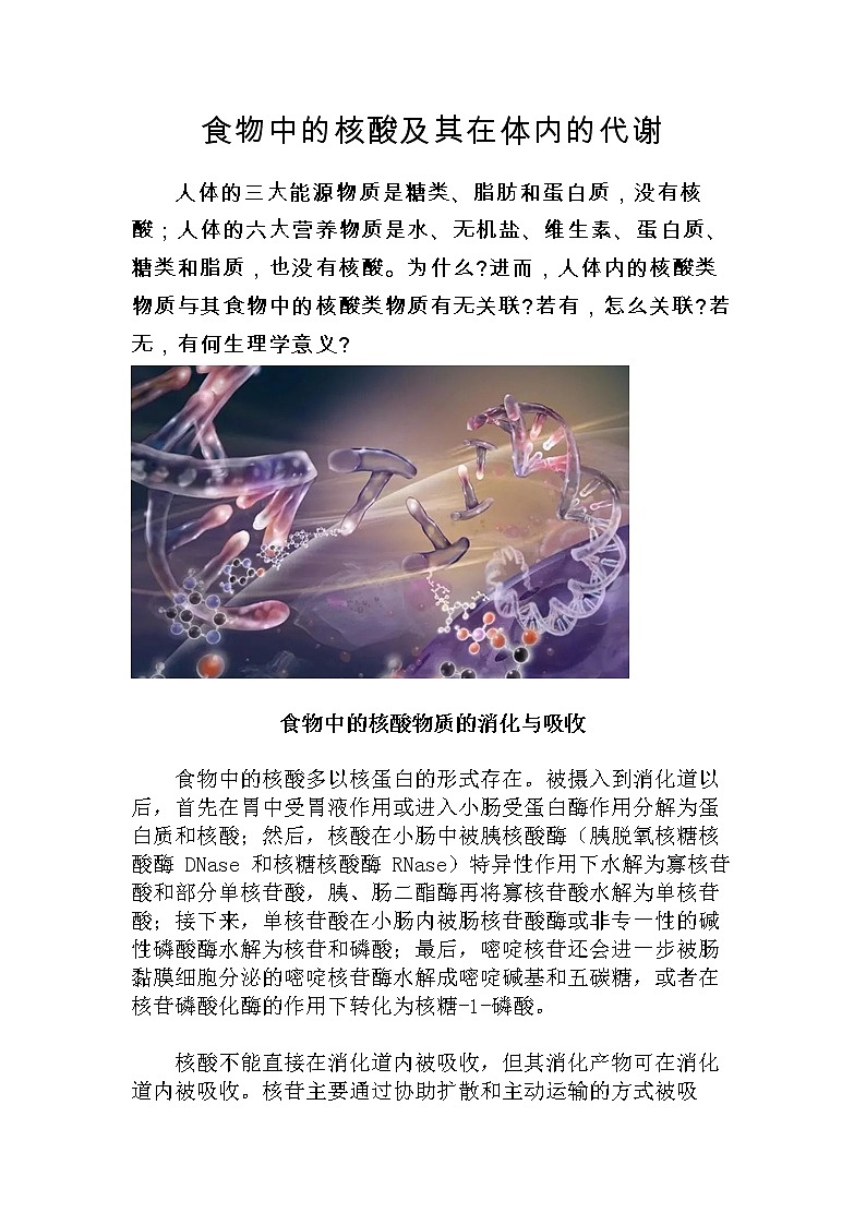 备课素材：食物中的核酸及其在体内的代谢--高一上学期生物人教版必修1第1页