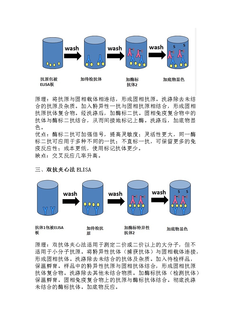 备课素材：ELISE的四种类型--高二上学期生物人教版选择性必修1第2页