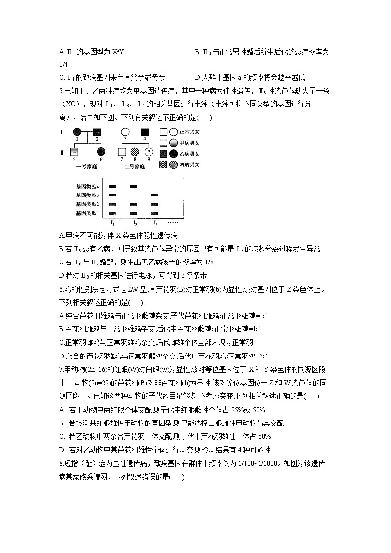 高考生物一轮复习：伴性遗传和人类遗传病练习第2页