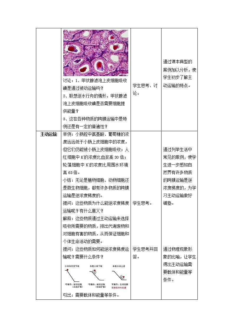 4.2主动运输与胞吞、胞吐教案--高一上学期生物人教版必修102
