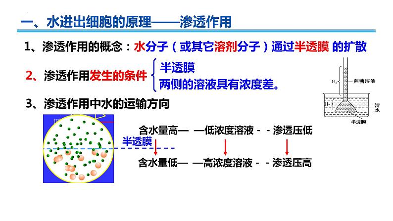 广东省普通高中生物学业水平考试 学考复习课件——第四章细胞的物质输入和输出第3页