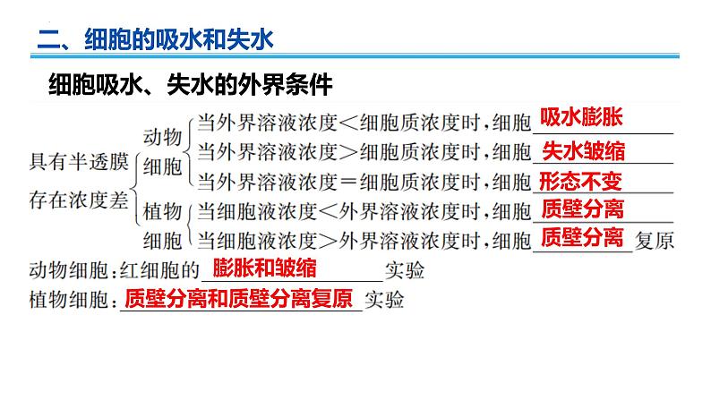 广东省普通高中生物学业水平考试 学考复习课件——第四章细胞的物质输入和输出第6页