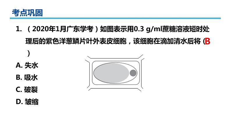 广东省普通高中生物学业水平考试 学考复习课件——第四章细胞的物质输入和输出第7页