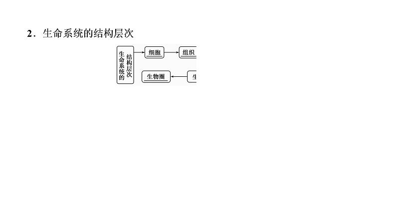 第一单元  第1讲 走近细胞-（微讲课件）新教材新高考生物--大一轮复习顶层设计06