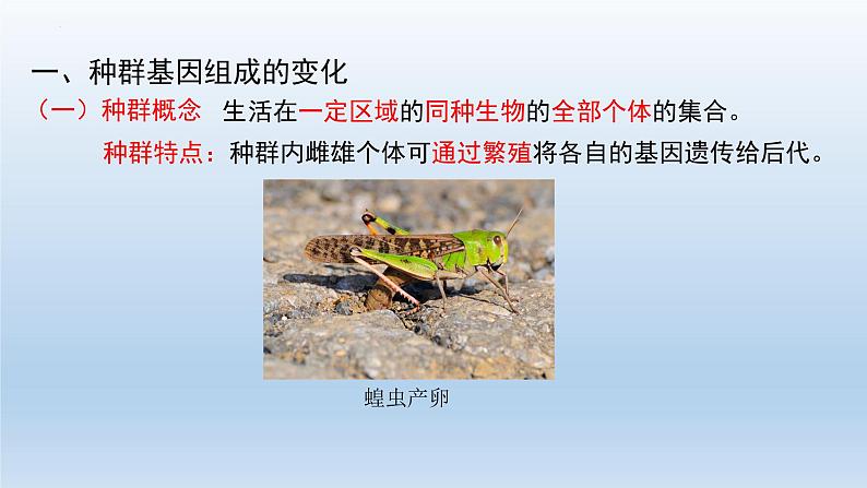 6.3 种群基因组成的变化与物种的形成（第1课时）--高一下学期生物人教版必修2第6页