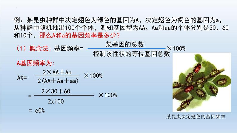 6.3 种群基因组成的变化与物种的形成（第1课时）--高一下学期生物人教版必修2第8页