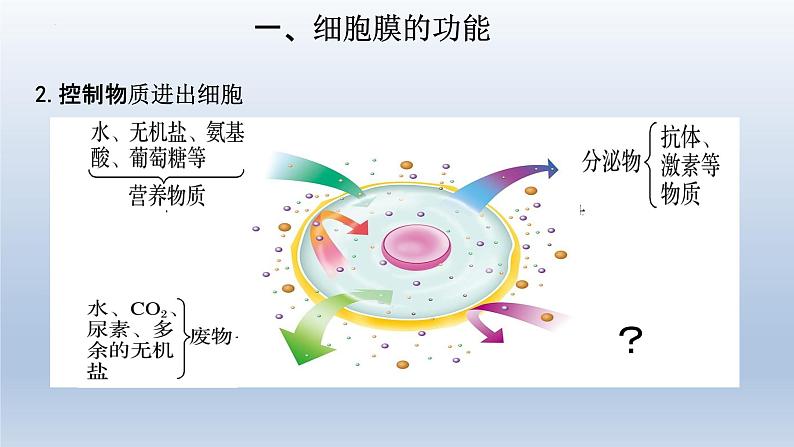 3.1细胞膜的结构和功能（第一课时 ）课件--高一上学期生物人教版必修1第5页