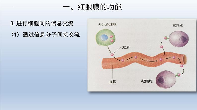 3.1细胞膜的结构和功能（第一课时 ）课件--高一上学期生物人教版必修1第6页