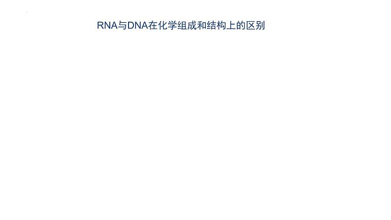 4.1基因指导蛋白质的合成--高一下学期生物人教版必修2第7页