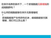 2.2.2动物细胞融合和单克隆抗体课件--高二下学期生物人教版选修3