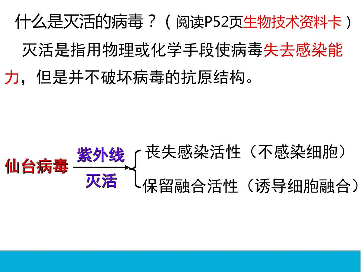 2.2.2动物细胞融合和单克隆抗体课件--高二下学期生物人教版选修3第8页