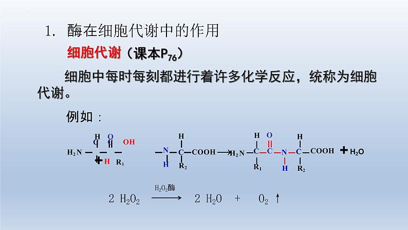 5.1 降低化学反应活化能的酶（第一课时）课件--高一上学期生物人教版必修1第4页