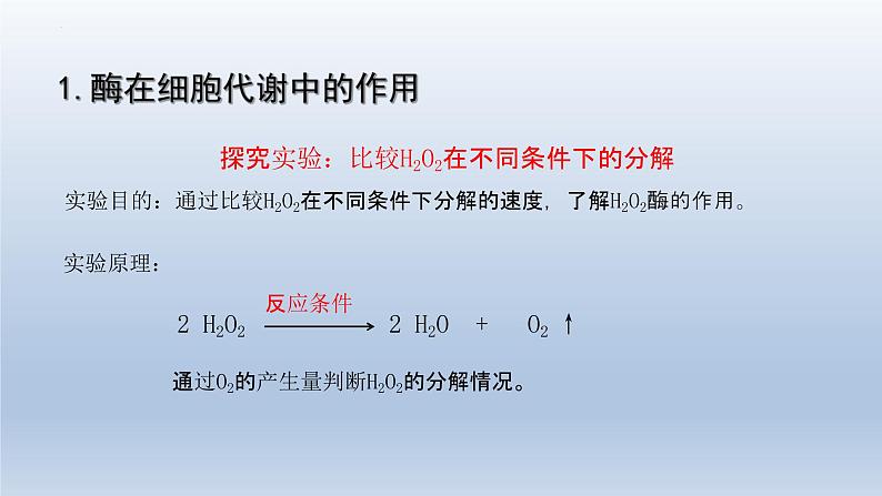 5.1 降低化学反应活化能的酶（第一课时）课件--高一上学期生物人教版必修1第5页