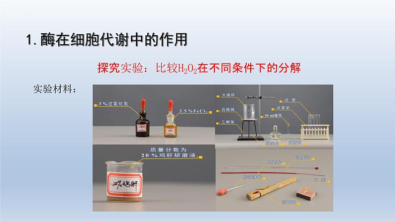 5.1 降低化学反应活化能的酶（第一课时）课件--高一上学期生物人教版必修1第7页