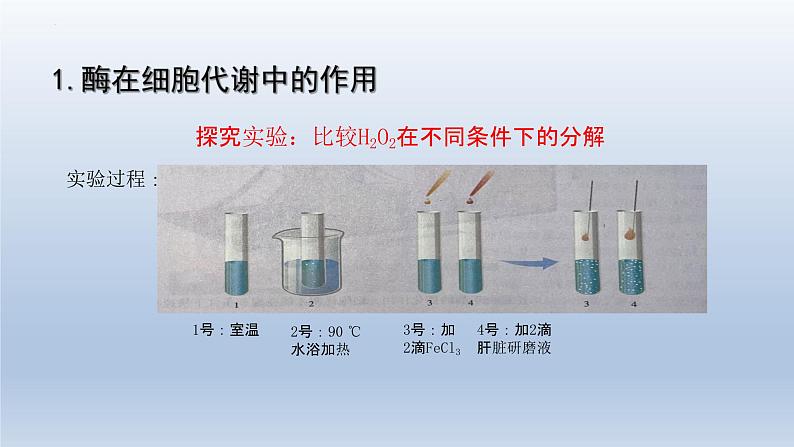 5.1 降低化学反应活化能的酶（第一课时）课件--高一上学期生物人教版必修1第8页