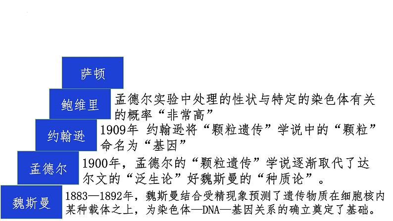 2.2基因在染色体上--高一下学期生物人教版必修2第4页