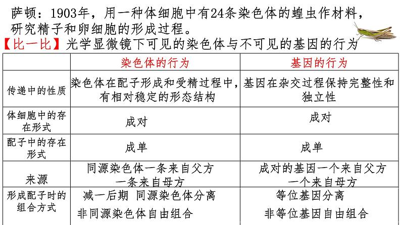 2.2基因在染色体上--高一下学期生物人教版必修2第5页