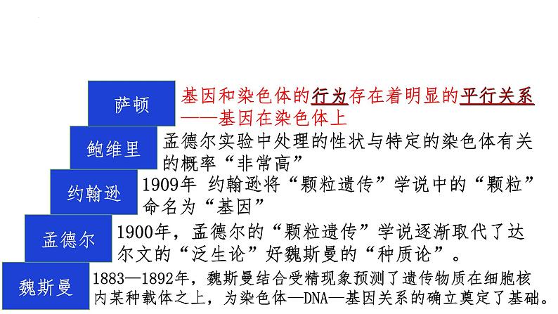 2.2基因在染色体上--高一下学期生物人教版必修2第7页