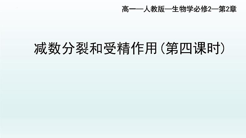 2.1  减数分裂和受精作用（第四课时）课件--高一下学期生物人教版必修2第1页