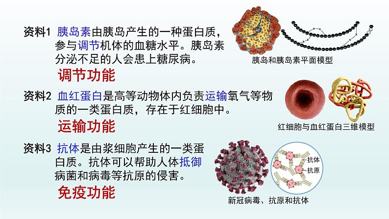 2.4 蛋白质是生命活动的主要承担者（第1课时）课件--高一上学期生物人教版（2019）必修1第5页