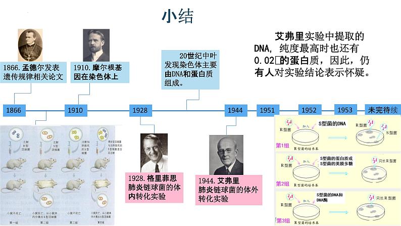 3.1DNA是主要的遗传物质（2）课件--高一下学期生物人教版必修202