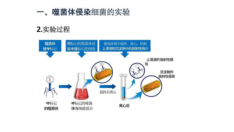 3.1DNA是主要的遗传物质（2）课件--高一下学期生物人教版必修207