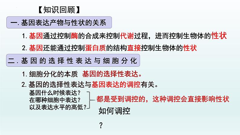 4.2基因表达与性状的关系（第2课时）课件--高一下学期生物人教版必修2第2页