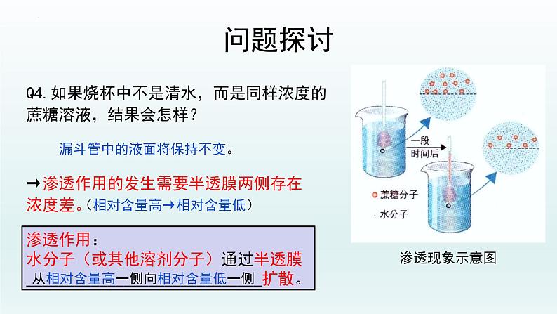 4.1被动运输（第1课时）--高一上学期生物人教版必修1 课件07