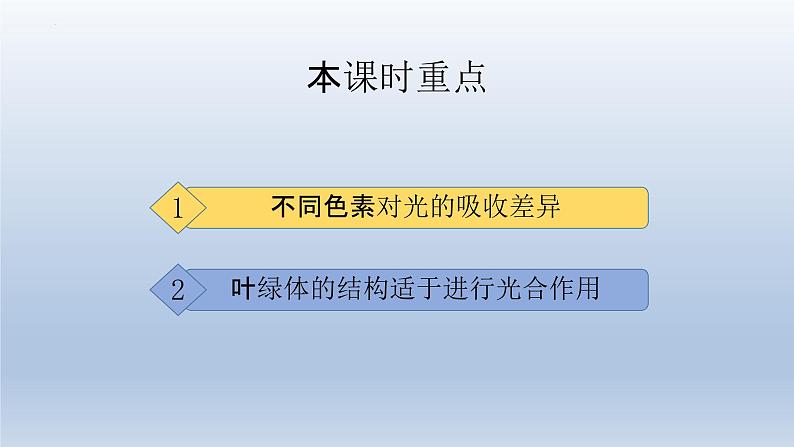 5.4光合作用与能量转化（第二课时）--高一上学期生物人教版必修1第2页