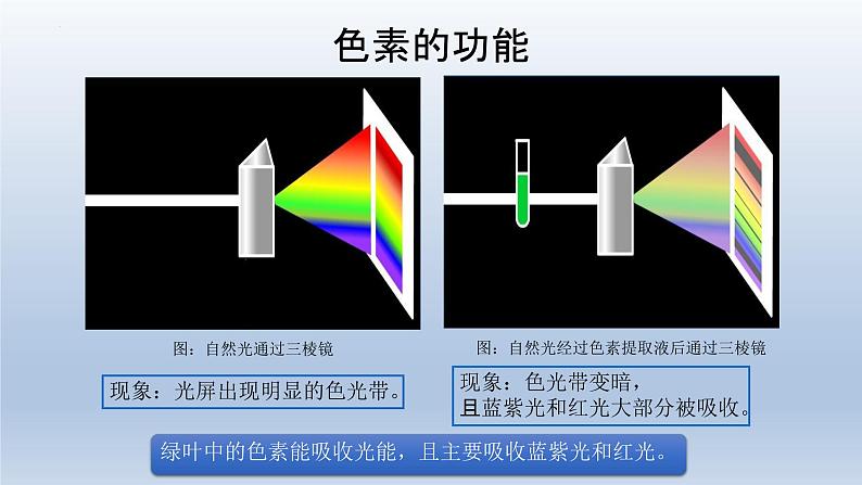 5.4光合作用与能量转化（第二课时）--高一上学期生物人教版必修1第5页