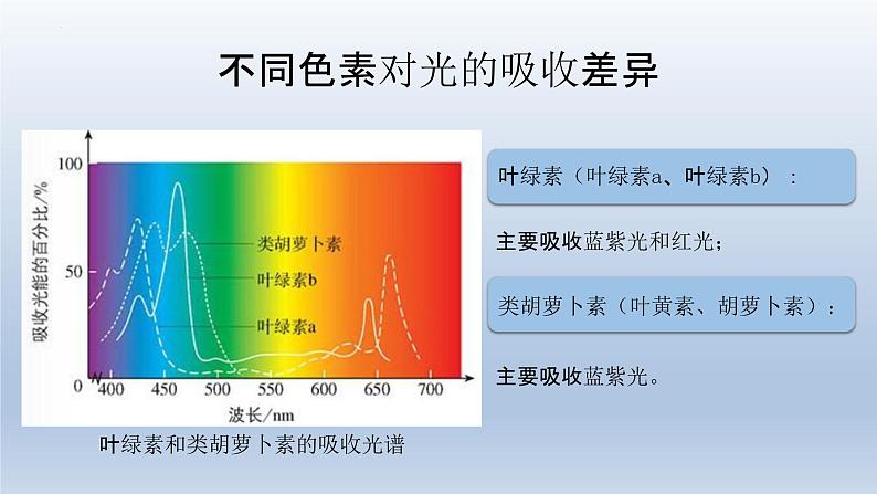 5.4光合作用与能量转化（第二课时）--高一上学期生物人教版必修1第6页