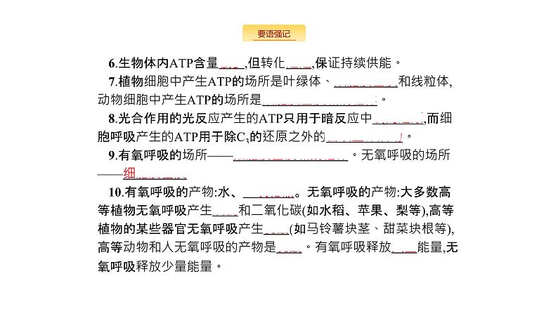 高考生物一轮复习细胞的能量供应和利用课件03
