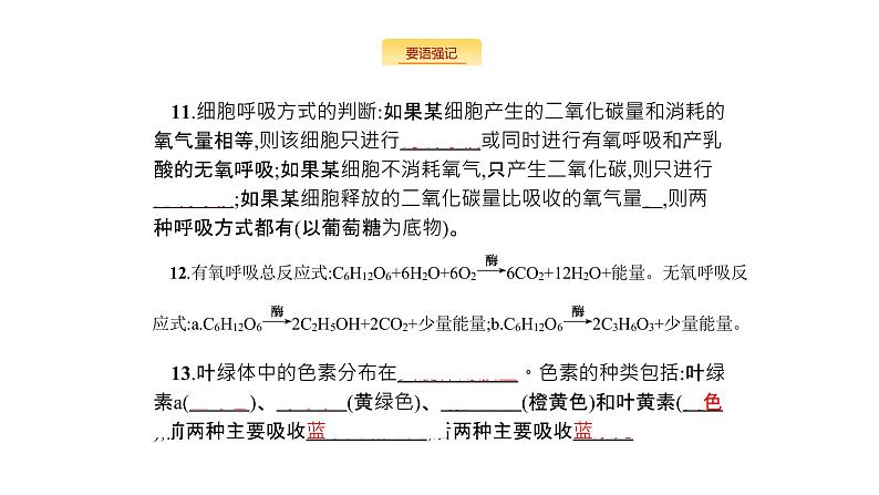 高考生物一轮复习细胞的能量供应和利用课件04