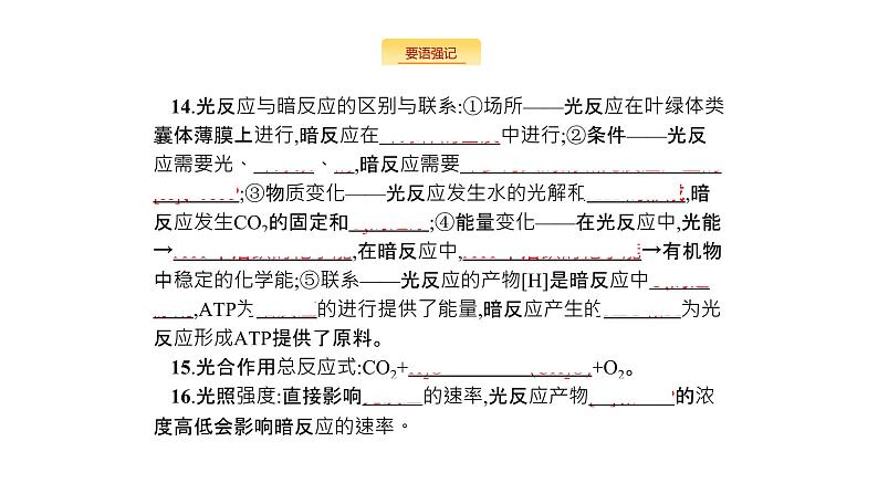 高考生物一轮复习细胞的能量供应和利用课件05