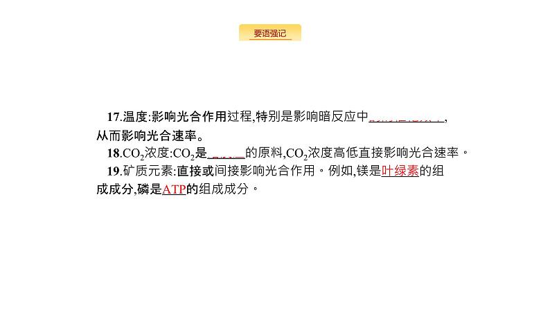 高考生物一轮复习细胞的能量供应和利用课件06