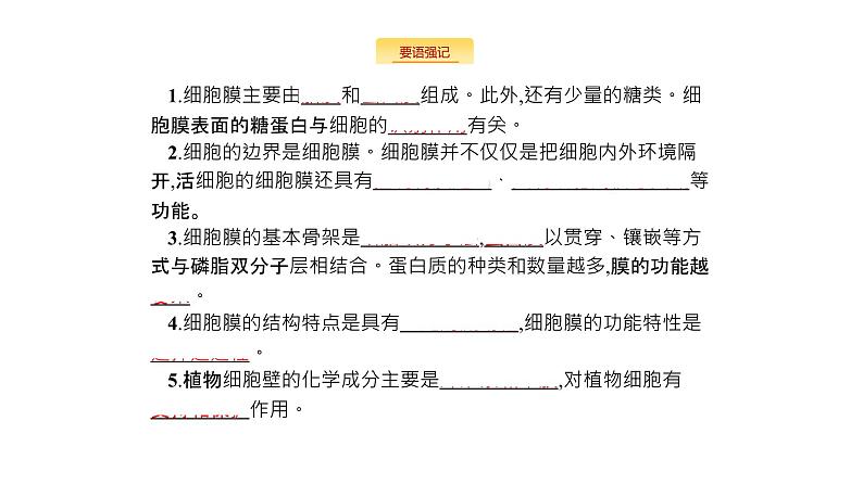 高考生物一轮复习细胞的基本结构细胞的物质输入和输出课件02