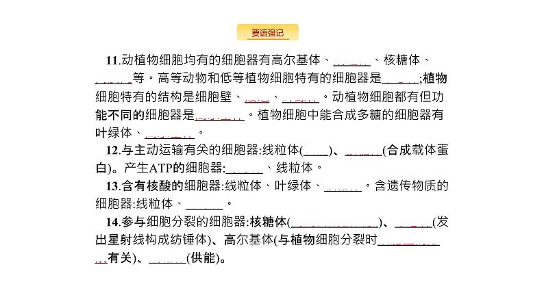 高考生物一轮复习细胞的基本结构细胞的物质输入和输出课件04