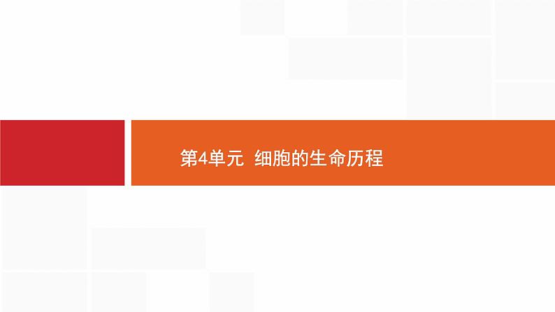 高考生物一轮复习细胞的生命历程课件第1页