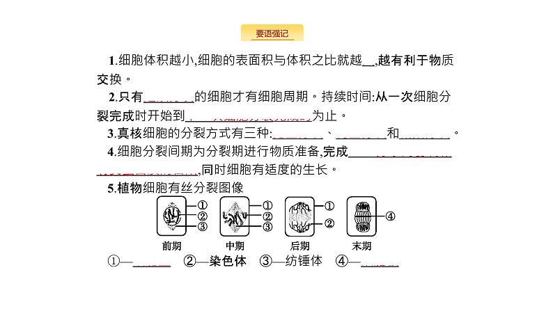 高考生物一轮复习细胞的生命历程课件第2页