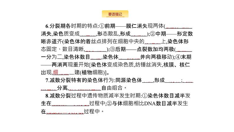 高考生物一轮复习细胞的生命历程课件第3页