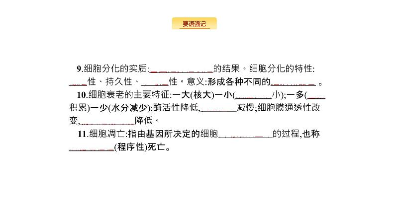 高考生物一轮复习细胞的生命历程课件第4页