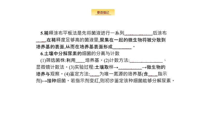 高考生物一轮复习生物技术与工程课件第4页