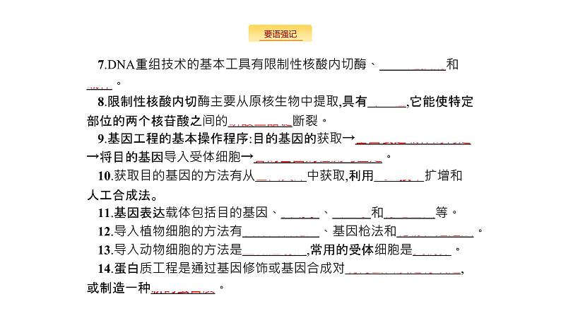 高考生物一轮复习生物技术与工程课件第5页