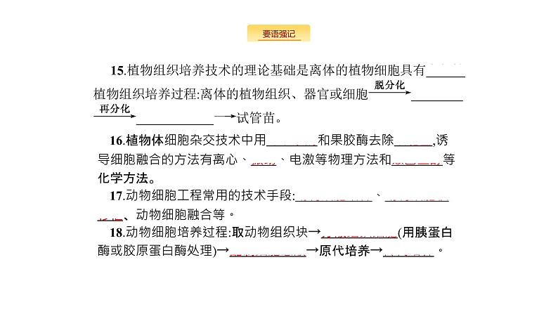 高考生物一轮复习生物技术与工程课件第6页