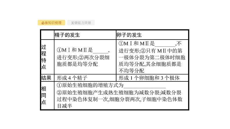 高考生物一轮复习第38讲胚胎工程及生物技术的安全性和伦理问题课件第5页