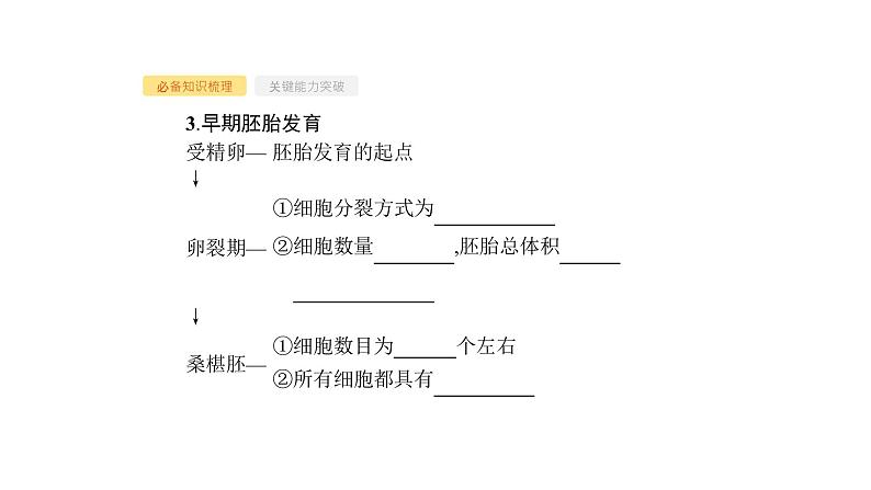 高考生物一轮复习第38讲胚胎工程及生物技术的安全性和伦理问题课件第8页