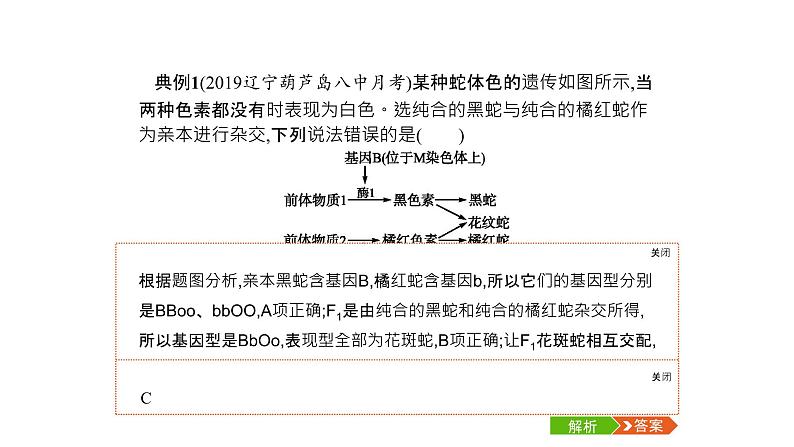 高考生物一轮复习微专题3基因自由组合定律的遗传特例分析课件第6页