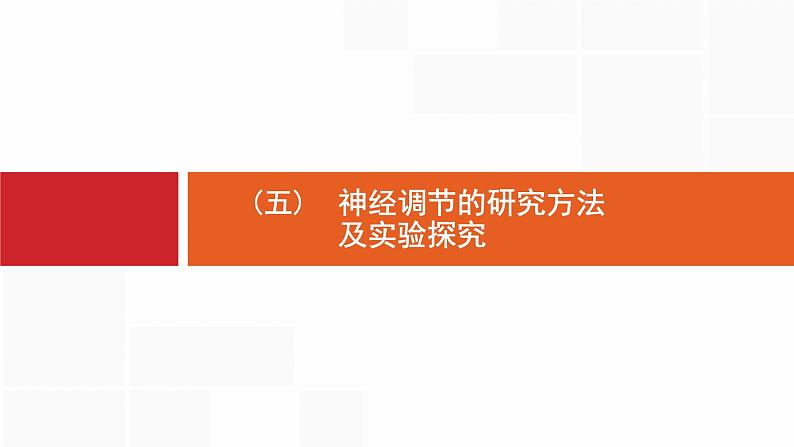 高考生物一轮复习微专题5神经调节的研究方法及实验探究课件01