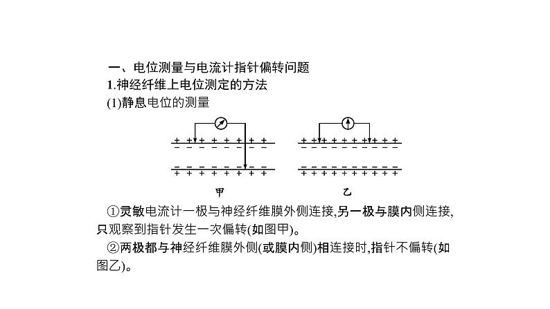 高考生物一轮复习微专题5神经调节的研究方法及实验探究课件02