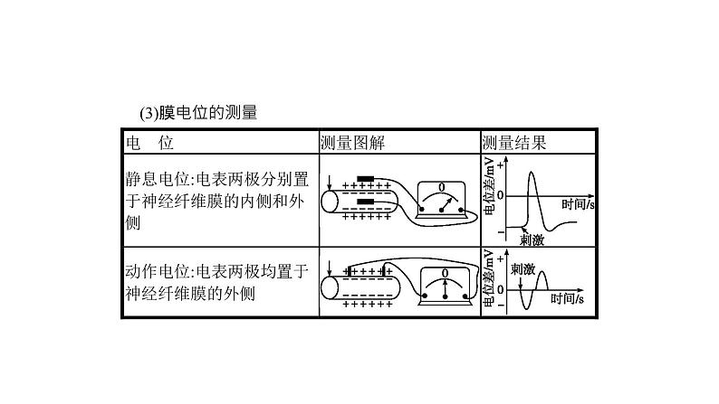 高考生物一轮复习微专题5神经调节的研究方法及实验探究课件04